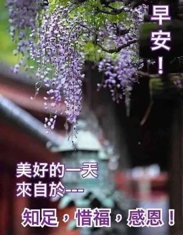 早上好祝福表情图片清晨早上好暖心祝福句子 心宽无忧、心静无虑图片