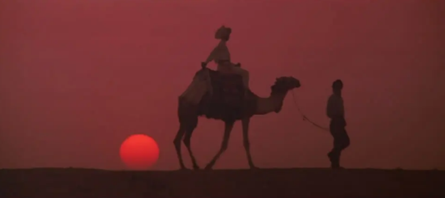 成龙意外受伤，钱小豪获得机遇，拍了部动作大片，影响了一个时代