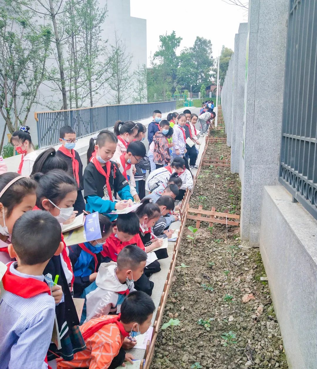 黄甲小学开展“人人参与科技节，我的科技节我做主”科技节活动