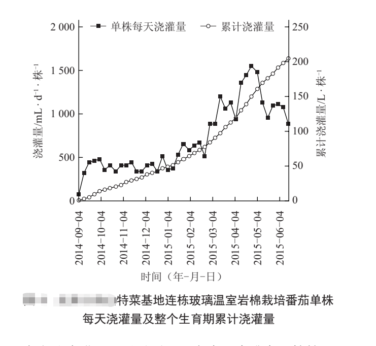 高效智能化连栋温室大棚番茄栽培管理技术分享