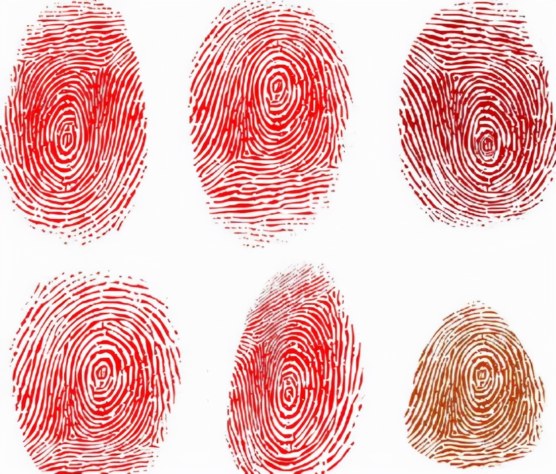 你双手指纹有几个螺手指指纹有几个螺