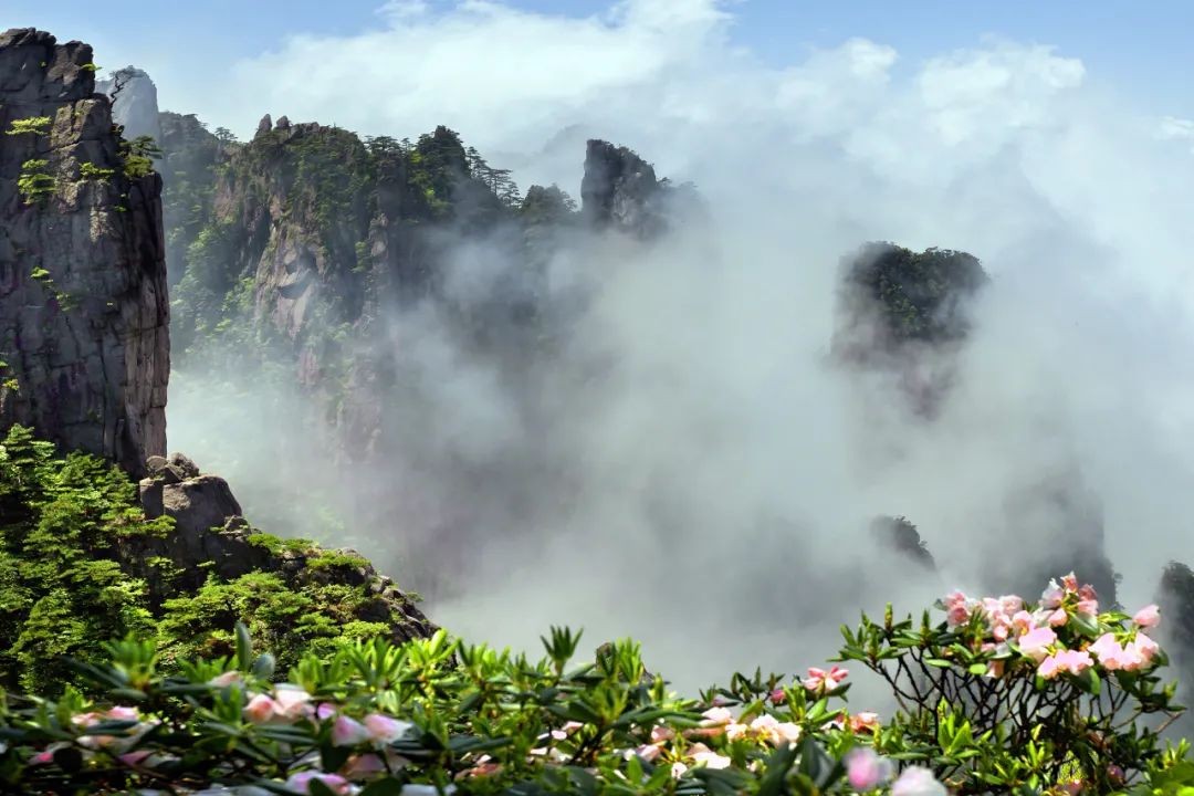 四季黄山 相约春天 | 何须名苑看春风 一路山花不负侬