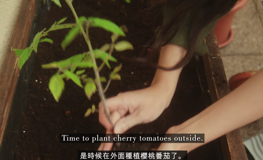 二胎妈妈改造8㎡阳台种20多种蔬菜，看了这个，我疫情还要抢菜？