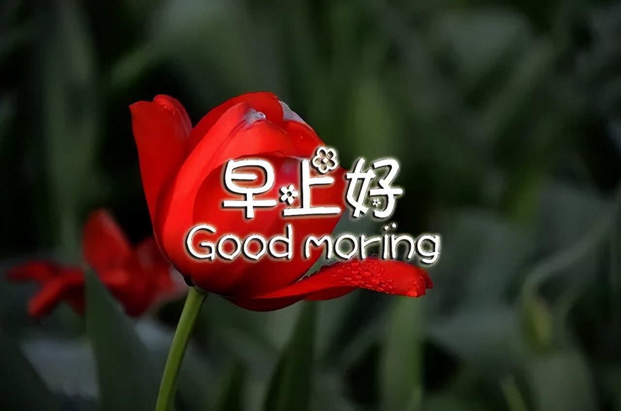 幸福的早上好动态图片带字表情包 非常时期非常问候 愿你安好无恙图片