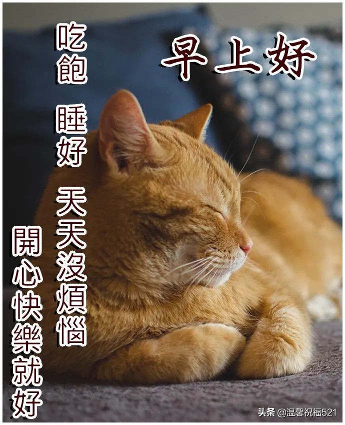 早上好,给老板道声好,祝您乘祥云,日进斗金