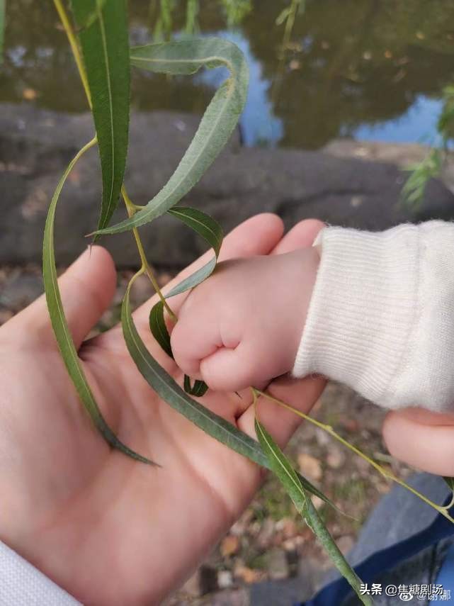谢娜首晒二胎女儿，小咘芽皮肤白皙又爱笑，跳跳俏俏近照也公开