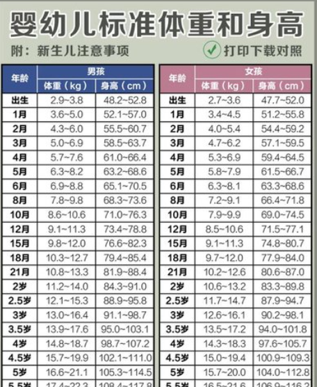 50厘米等于多少毫米图片