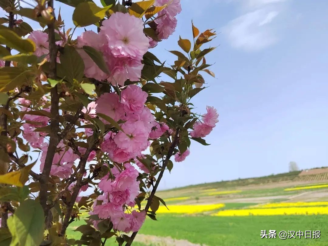 漢中“東西南北”線大PK！總有一條適合你