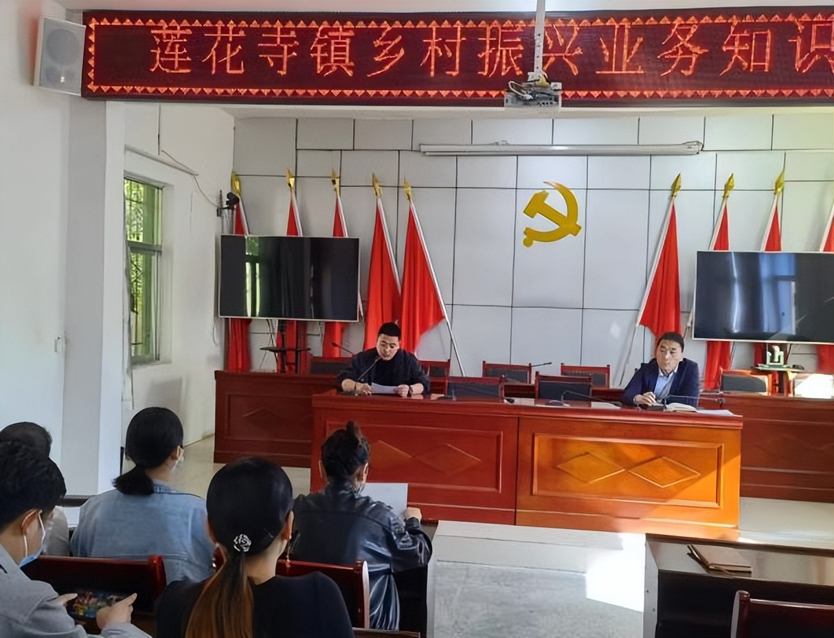 华州区莲花寺镇动态监测防返贫政策宣传守底线