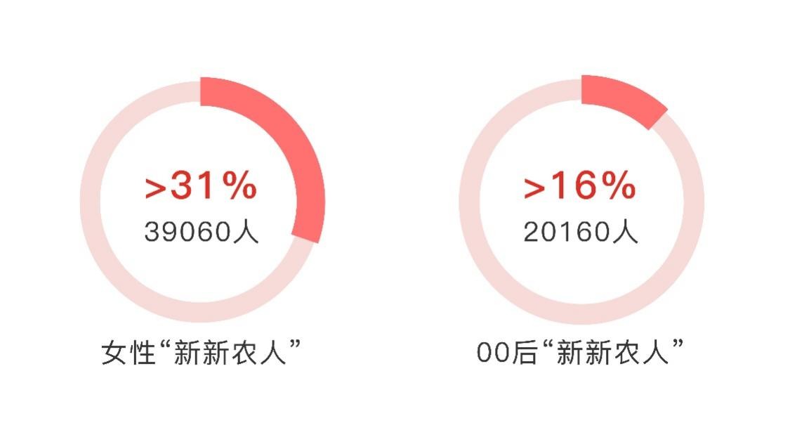 “脱城返乡”，小镇青年撑起中国新农经济的蓝海