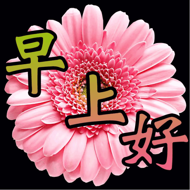 周六新版早上好图片漂亮带字动图，又是快乐早晨，送你健康平安图片