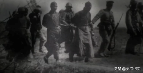 ������ȫ��Ͷ�������𣬴�731���ӵ�������˱�������������ʲô