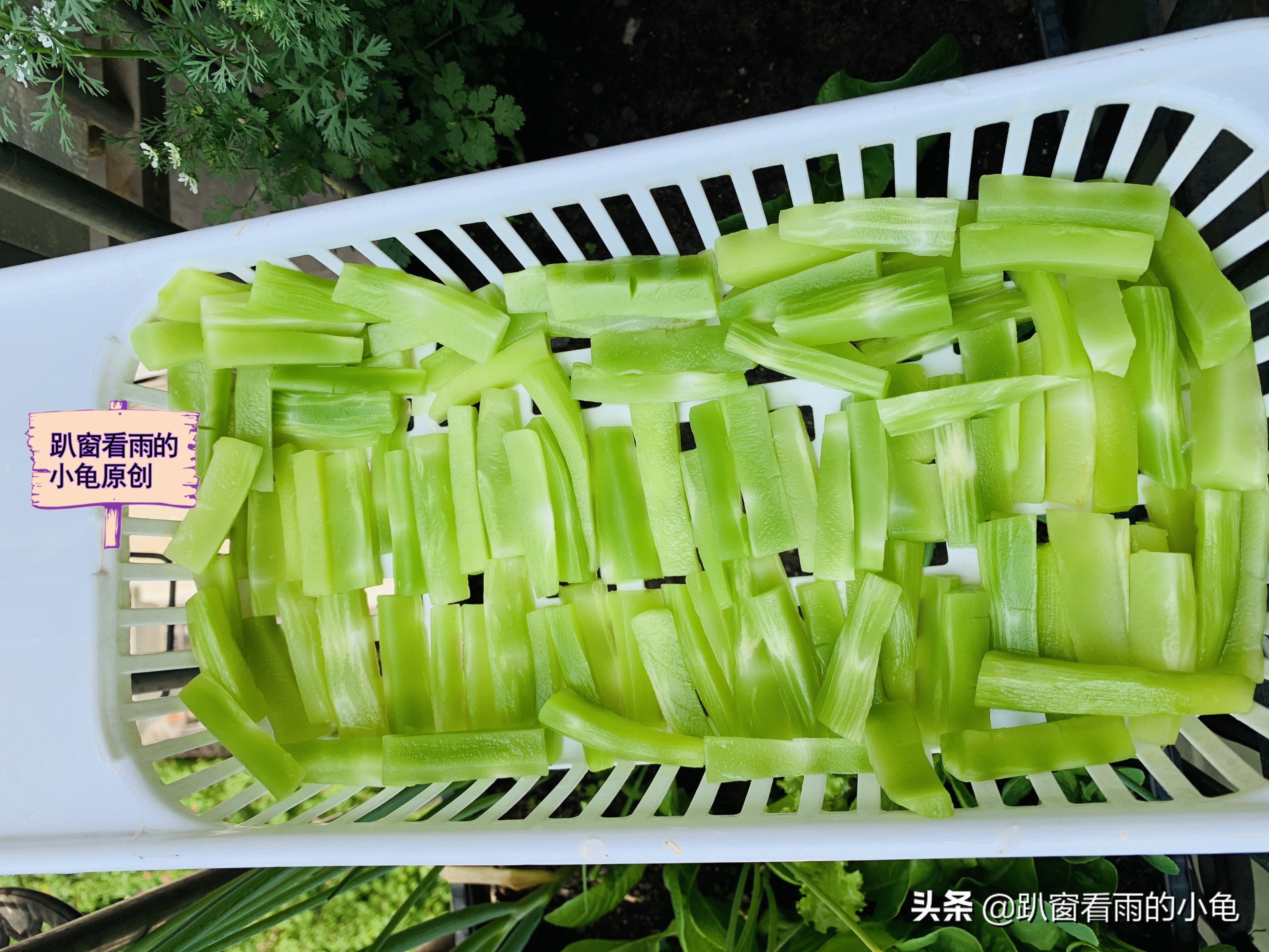 青笋怎么做才好吃（莴笋推荐3种好吃的做法制作简单）