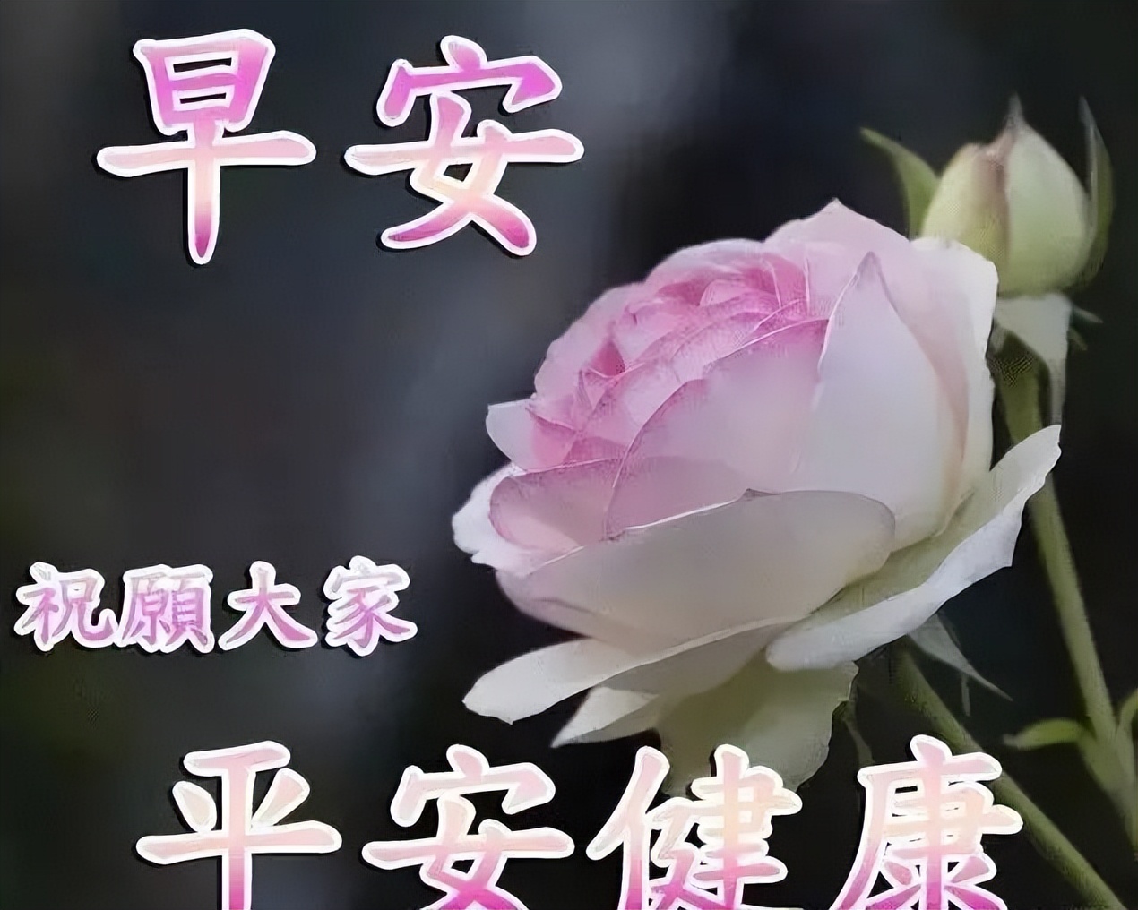 星期一早上好表情包，希望你度过美好的一周，天天问候表心声图片