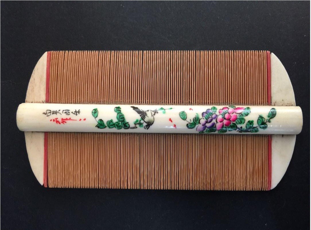 虱子可以追溯人类进化？它们与人一起生存进化，为什么快灭绝了？