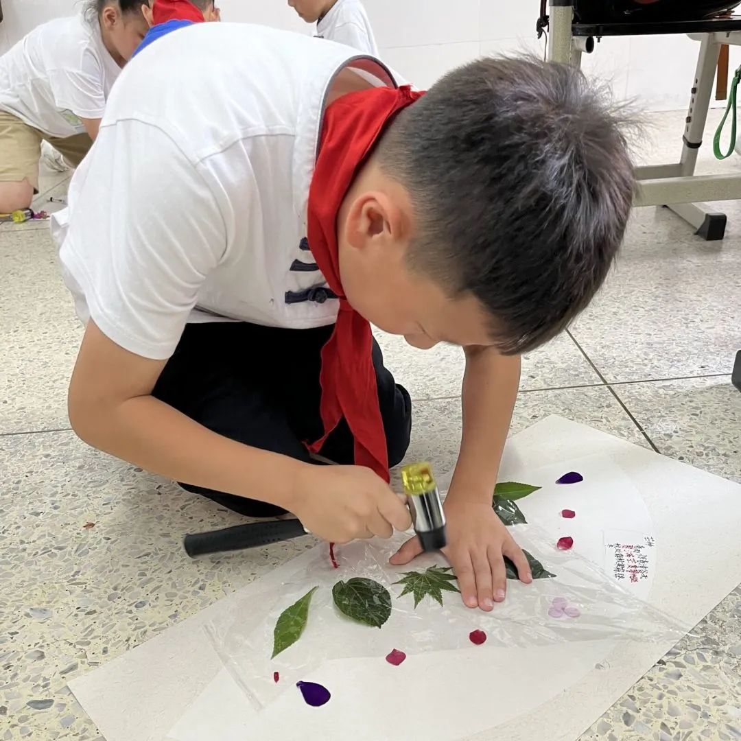 节气深耕.芒种节气｜成都高新区朝阳小学开展丰富多彩的节气活动