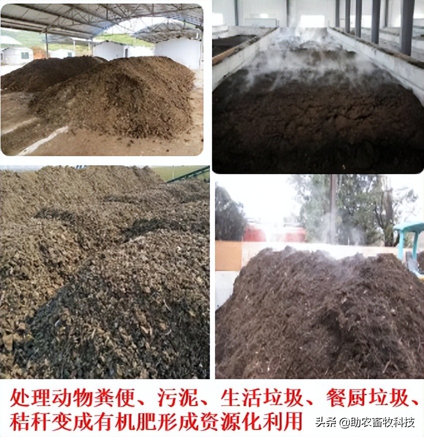 将动物粪便污泥生活垃圾餐厨垃圾等快速发酵成有机肥新技术