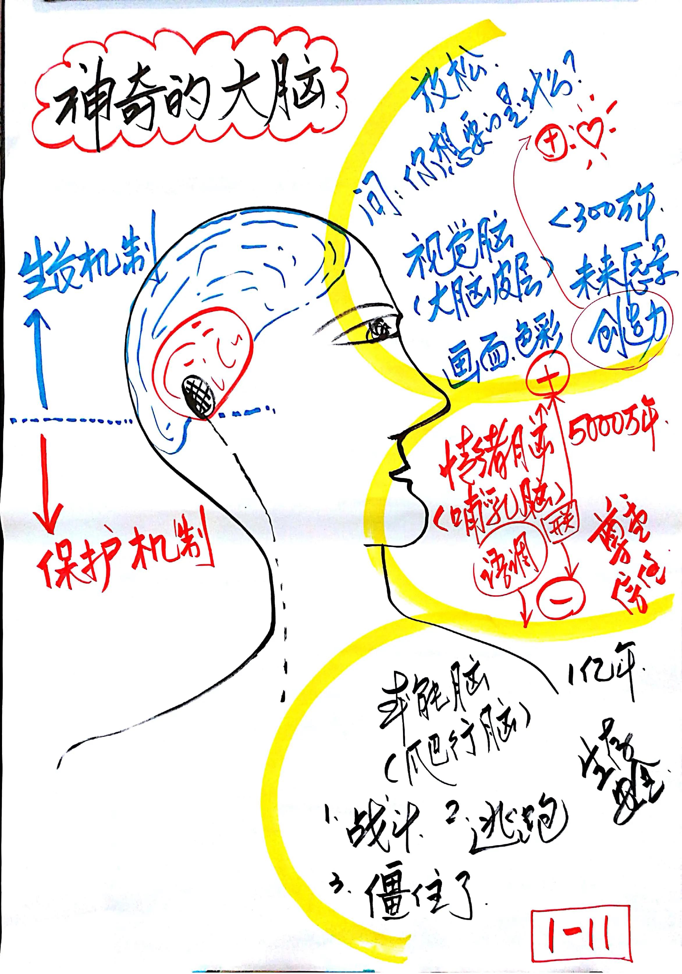 家庭相处中遇到吵架怎么办？大脑机制帮你解决