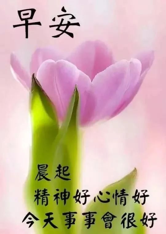周五问候大家早上好动图表情包 愿时光能缓、愿相识不散图片