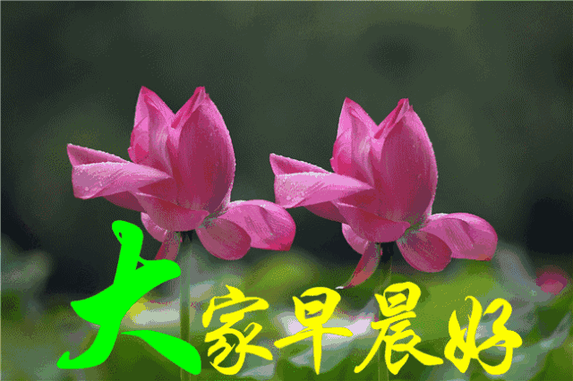 星期三朋友圈早上好祝福图片大全 早安愉快、温暖常绕、幸福伴跑图片