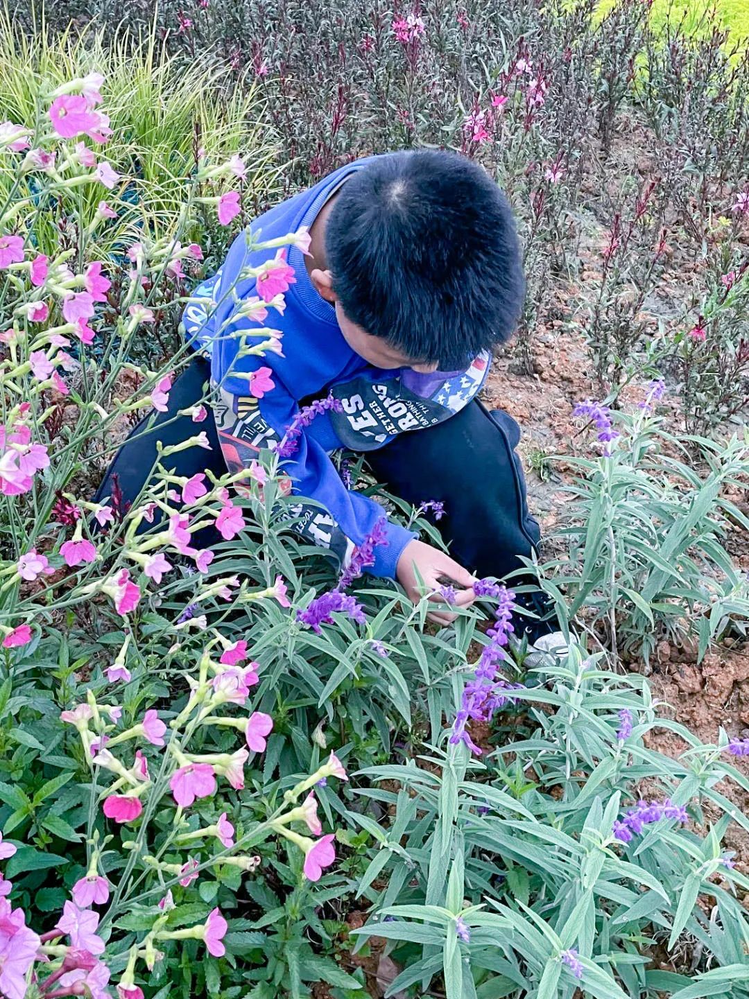 黄甲小学开展“人人参与科技节，我的科技节我做主”科技节活动