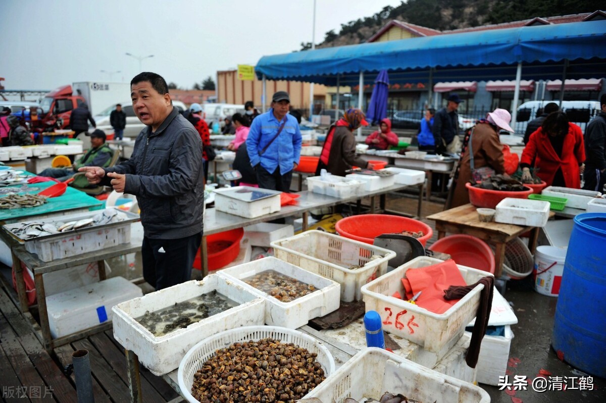 河里的螃蟹是吃什么食物长大的？过好"四关"是成功饲养螃蟹的关键