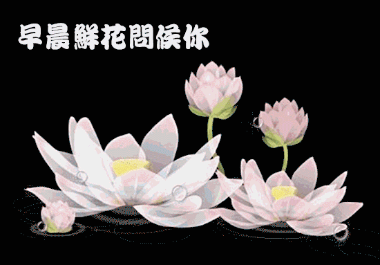 春日特漂亮的清晨鲜花早上好图片带字，祝愿工作顺利、生活甜美图片