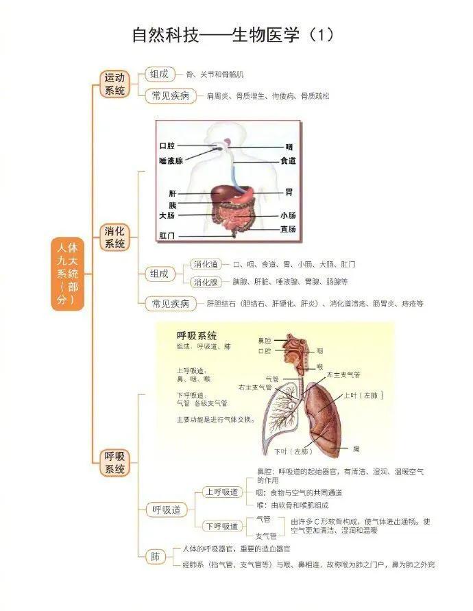 公務員考試自然科技常識超強思維導圖！???