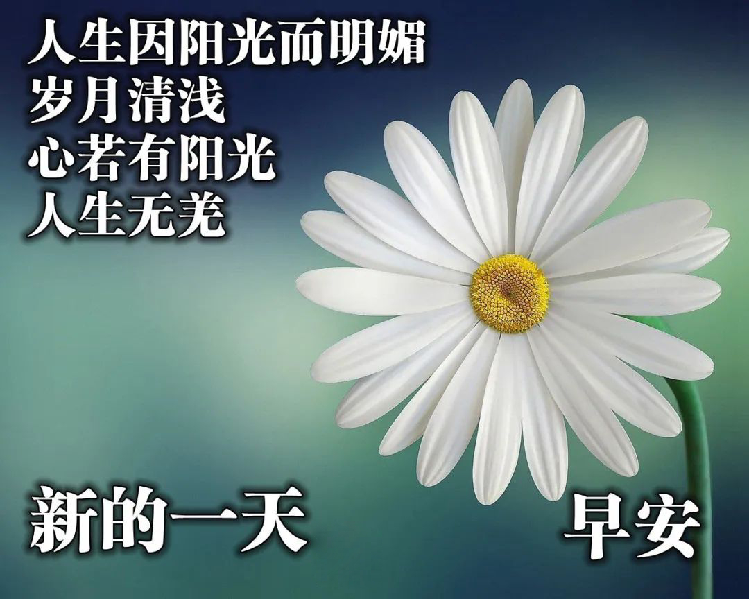早上好漂亮的表情问候祝福图片 愿美丽的阳光美丽你的心情图片