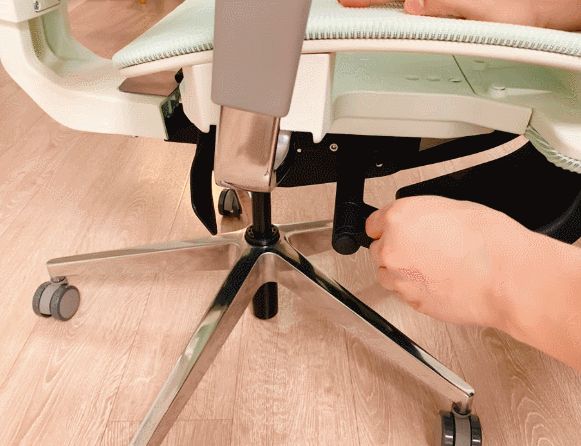 青少年入学礼，成长关键曲——达宝利D6人体工学椅开箱体验