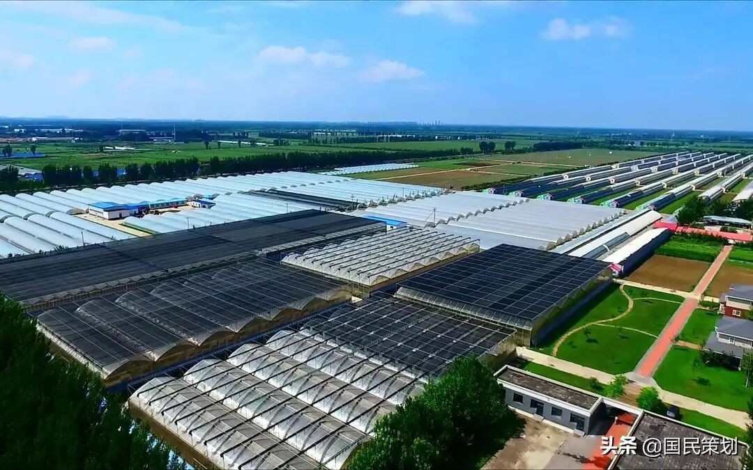 1000个左右乡村振兴示范乡镇如何创建？抓住新要求，做到四个关键