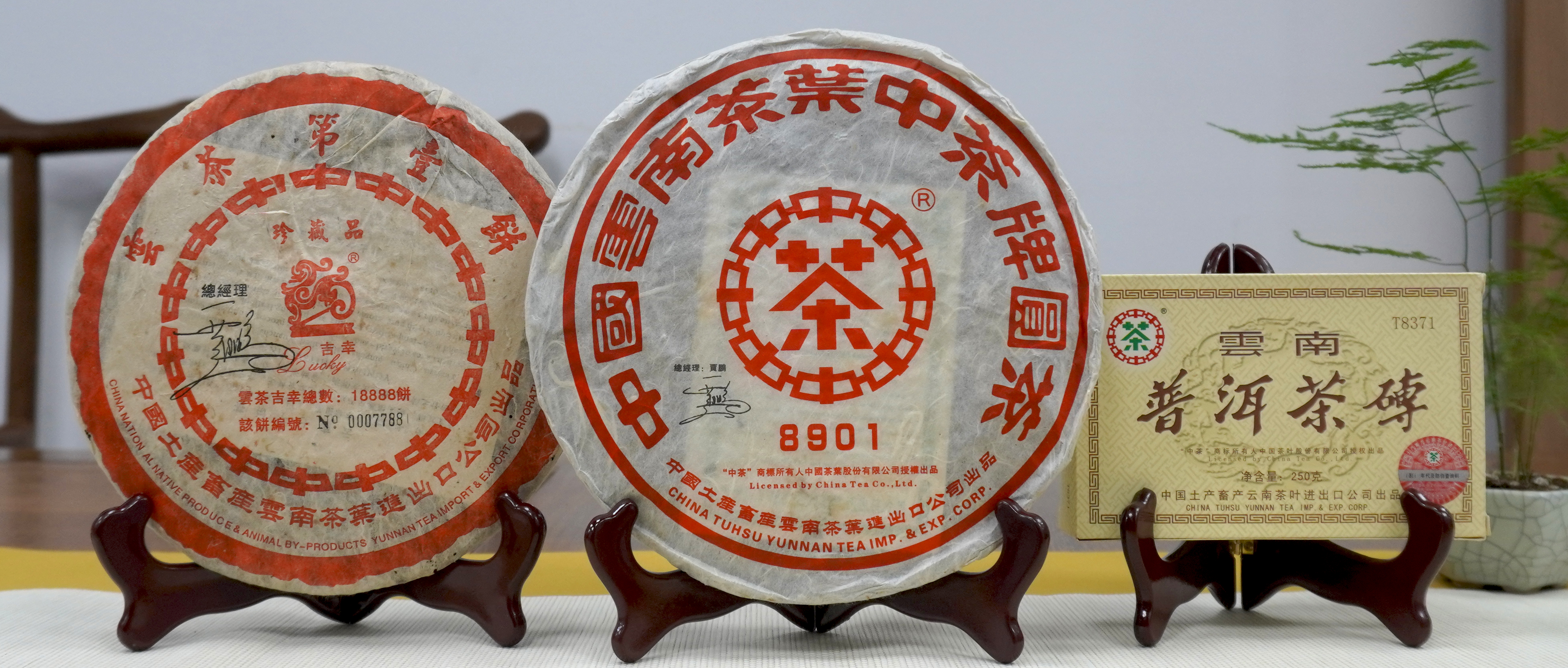 大益、下关沱茶、澜沧古茶、中茶、龙润茶、普洱春秋。