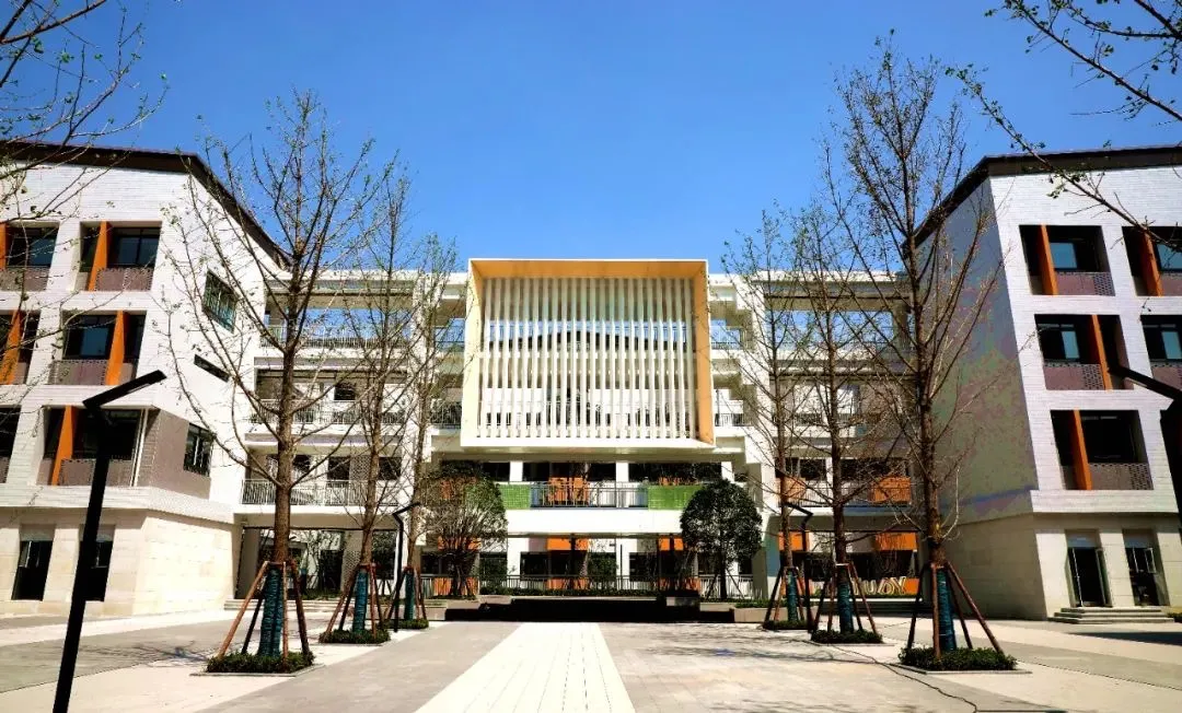 连成都这个区的幼升小也面临爆仓了？