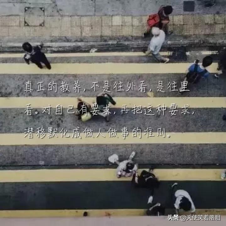 简短好句分享(消失宾妮经典语录)