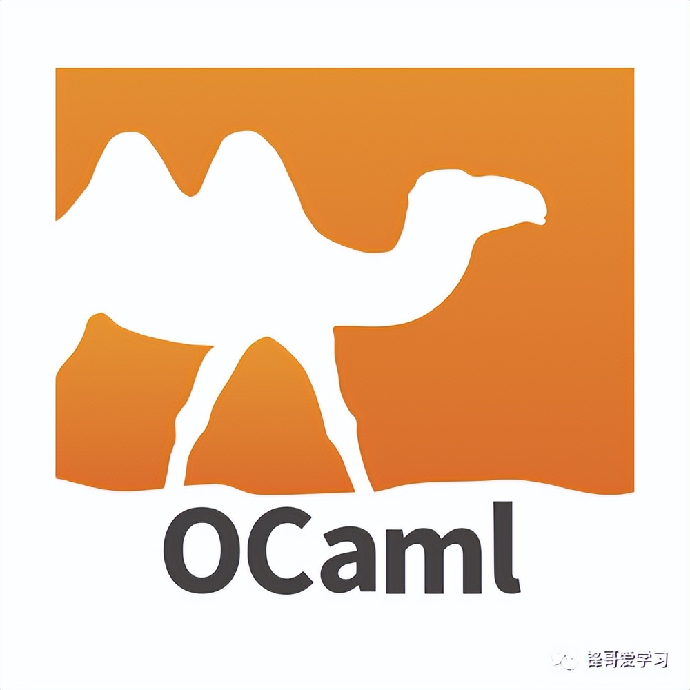 OCaml 编程中 的解药：常见问题