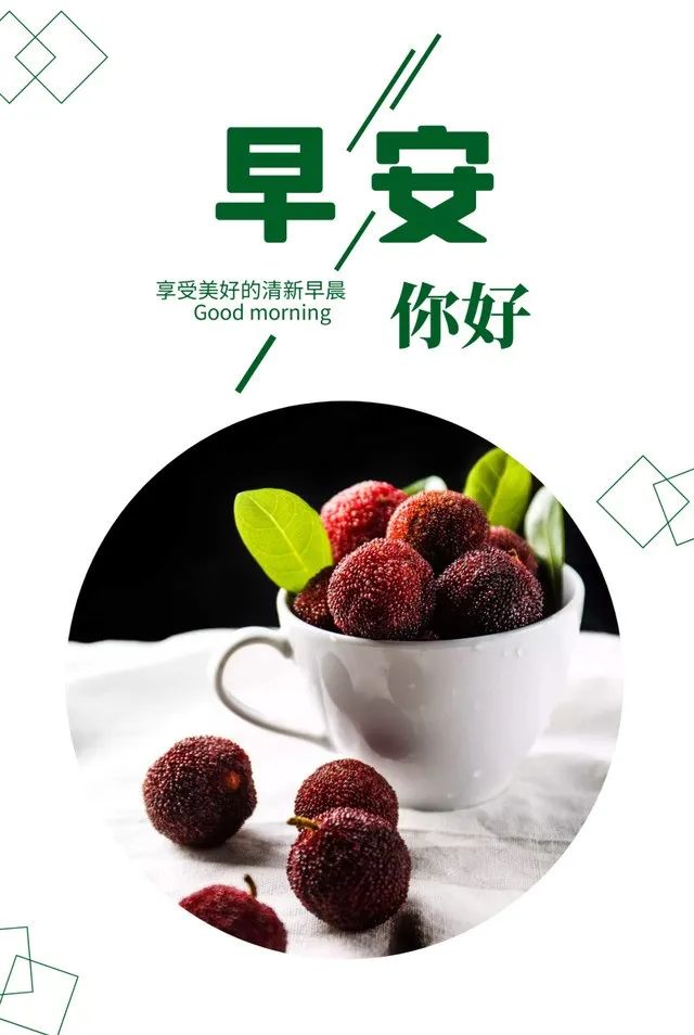 周末最新早上好表情包，清晨的问候，牵挂的你，感恩有你图片