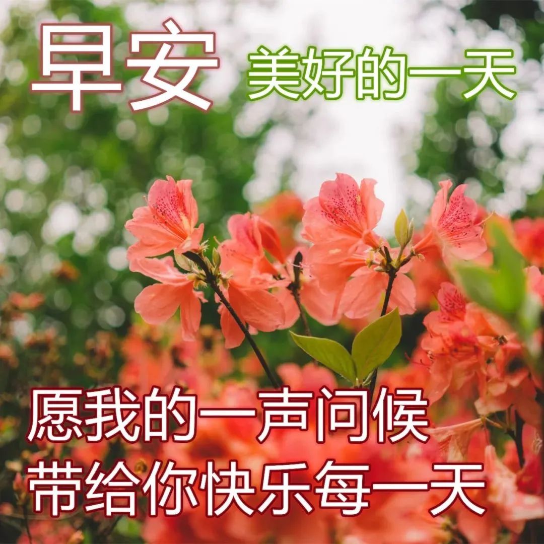 早上好问候图片动态表情 