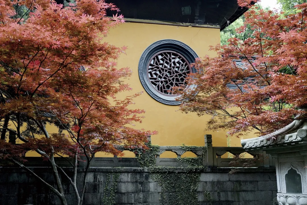 北京音乐学院5p（看展喝咖啡）