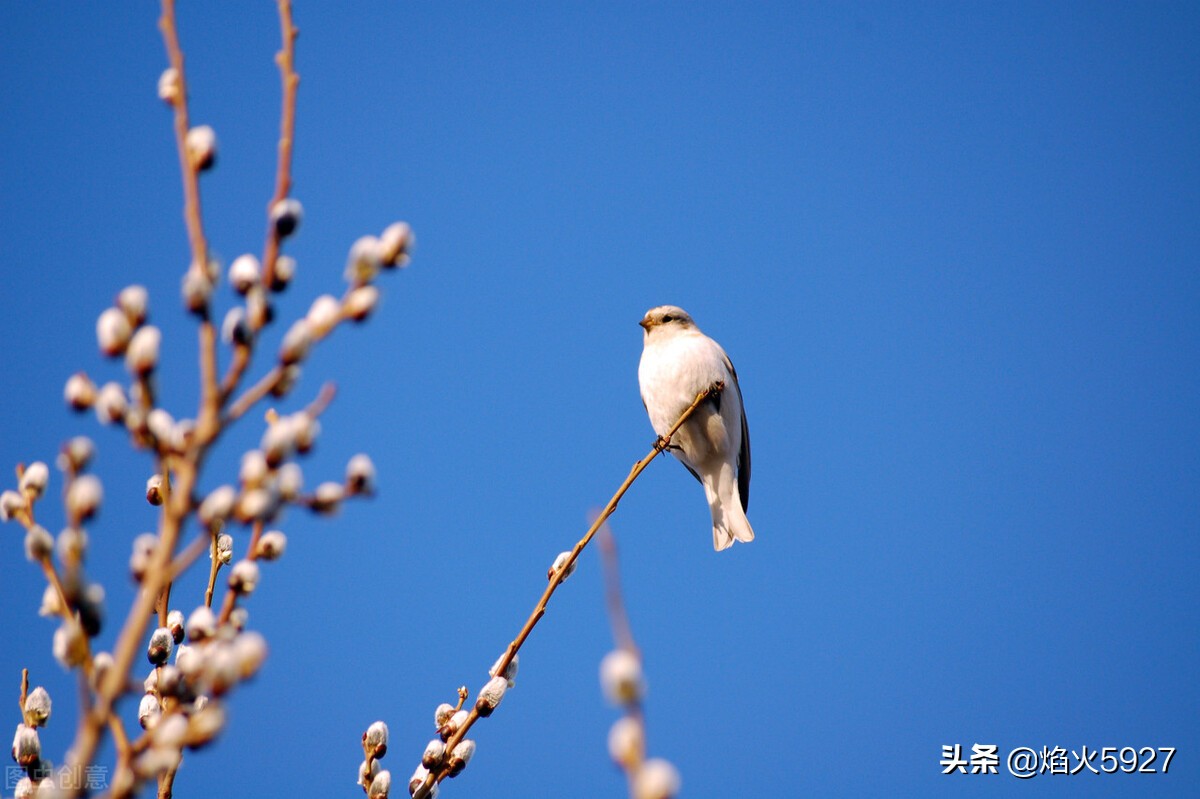 描写春天比喻的句子，收藏起来给孩子写作文参考