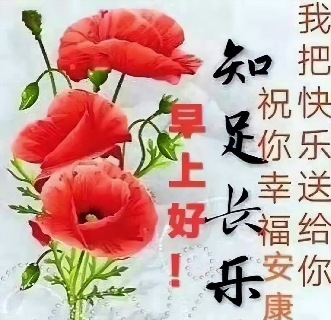 朋友圈早上好问候图片祝福语 健康是财富，知足最快乐图片