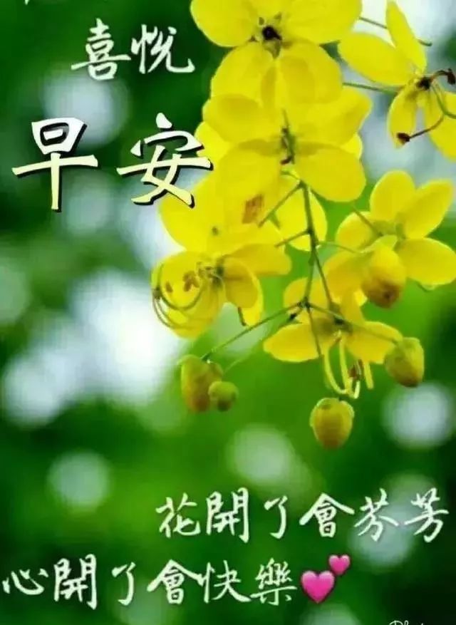 4月份新版周六早上好图片带字合集，花开了会芬芳，心开了会快乐图片