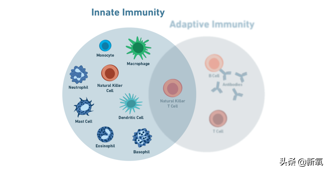是给的太多了么？她俩之前可是厌恶舞台到顶级巡演都缺席不去…