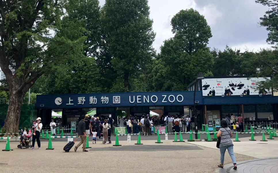 熊猫“香香”回国无望？日本四次推迟归还国宝，难道想占为己有？