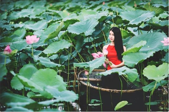 2017年，与马云对话的越南大学校花吴庆玲，如今已毕业考虑从商