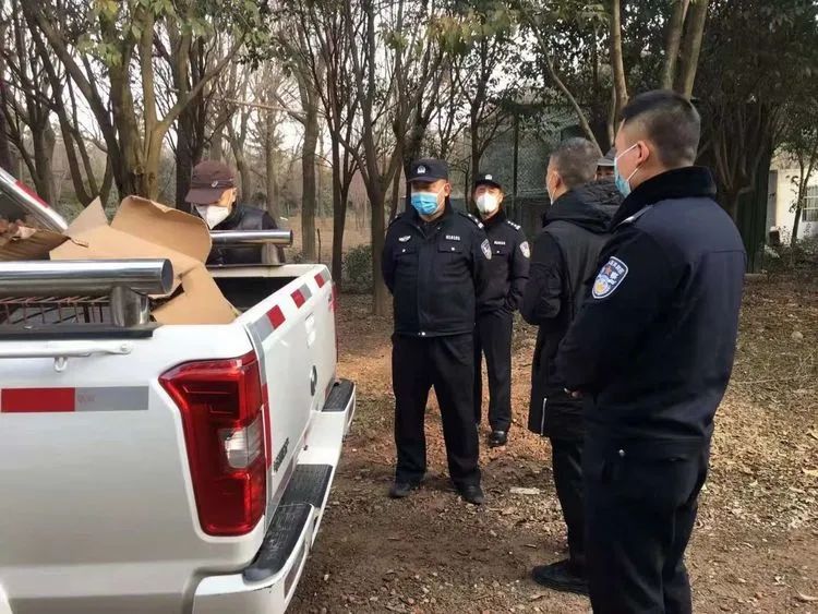 西安长安公安成功救助国家一级野生保护动物金雕