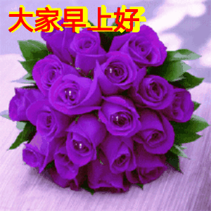 最新周三早上好祝福语表情图,愿远方的您平安健康快乐