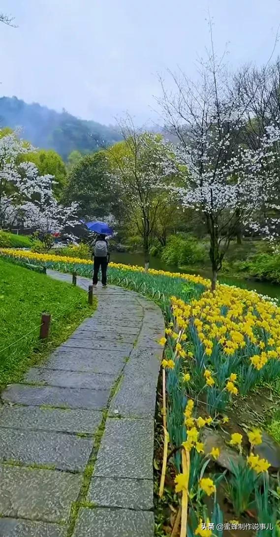 心若向阳，一路鸟语花香