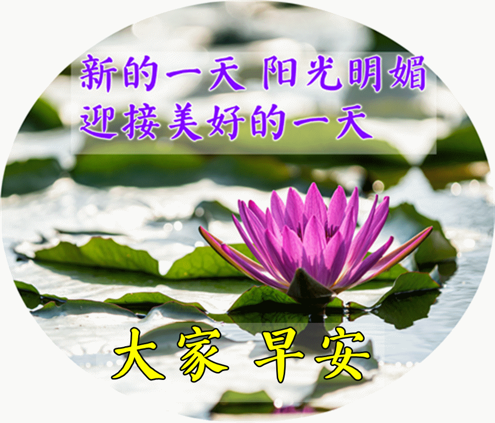 清晨暖心的早安问候祝福语短信 最好的快乐是平安 最好的平安是健康图片