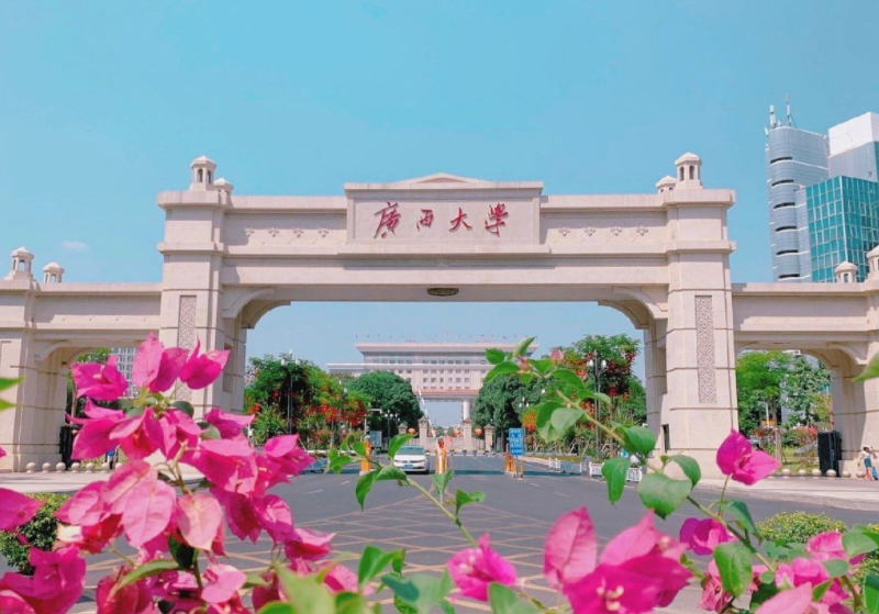 适合学生“捡漏”的211名校，聪明人会这样报考，别傻傻的不知道