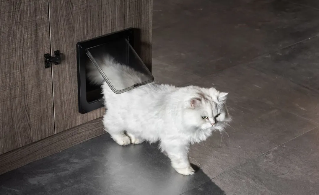 主人搞了个跳台，猫们都玩疯了，还搞定收纳！神奇设计还有5招